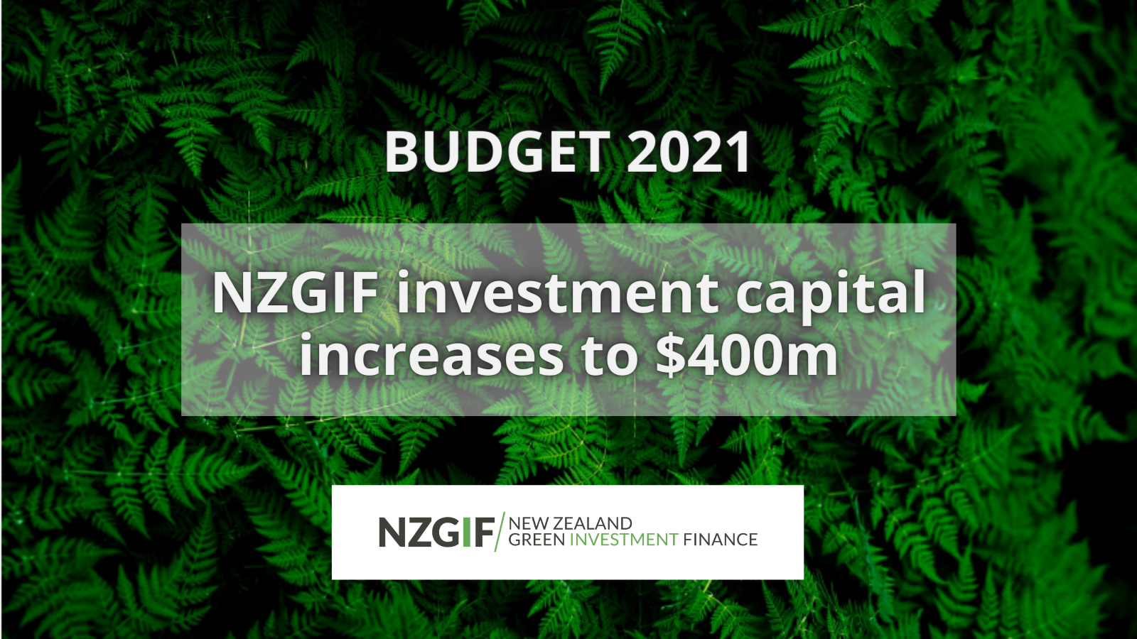 BUDGET 2021 1