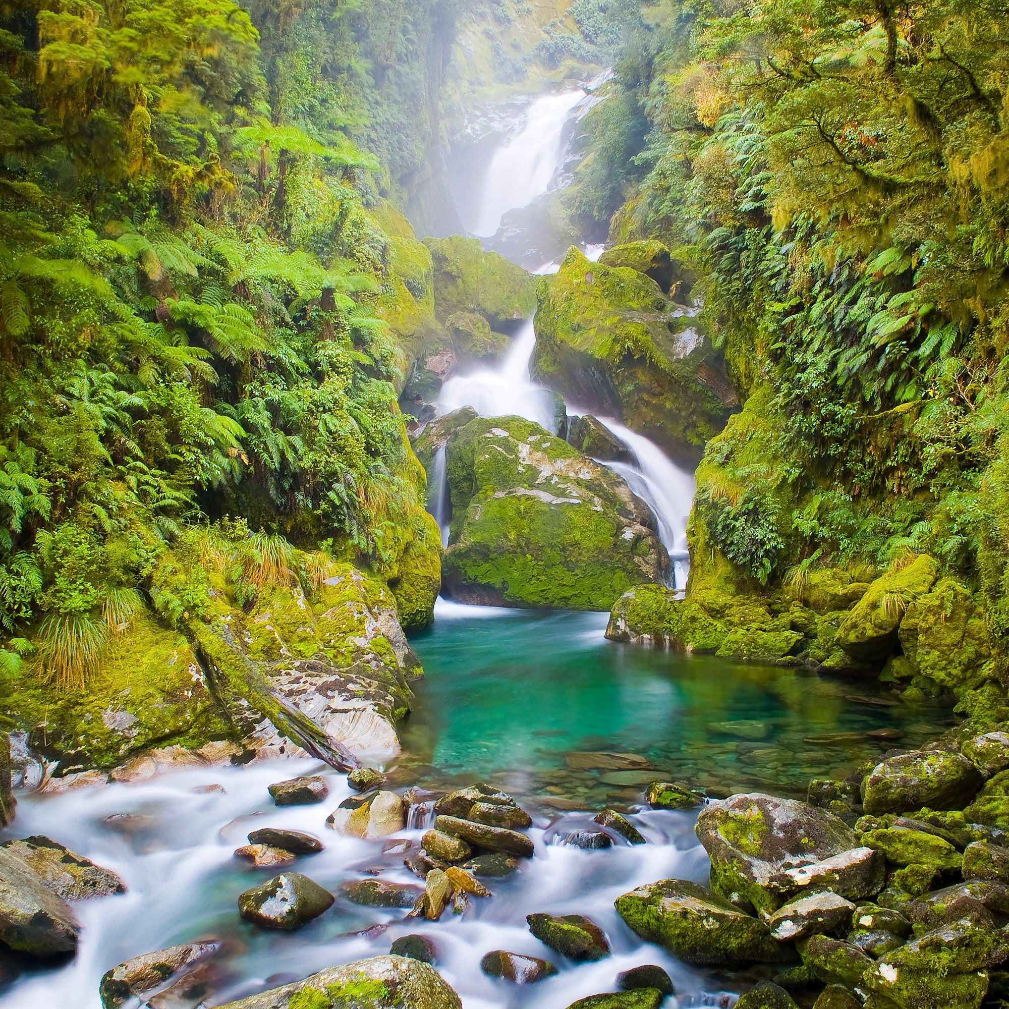 Stream